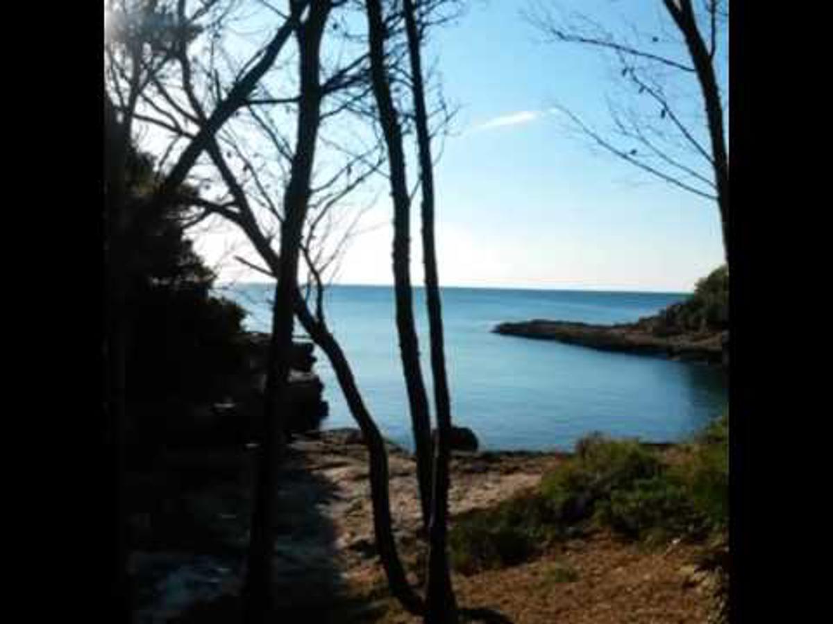Apartamento Andreu Llambrich L'Ametlla de Mar Esterno foto